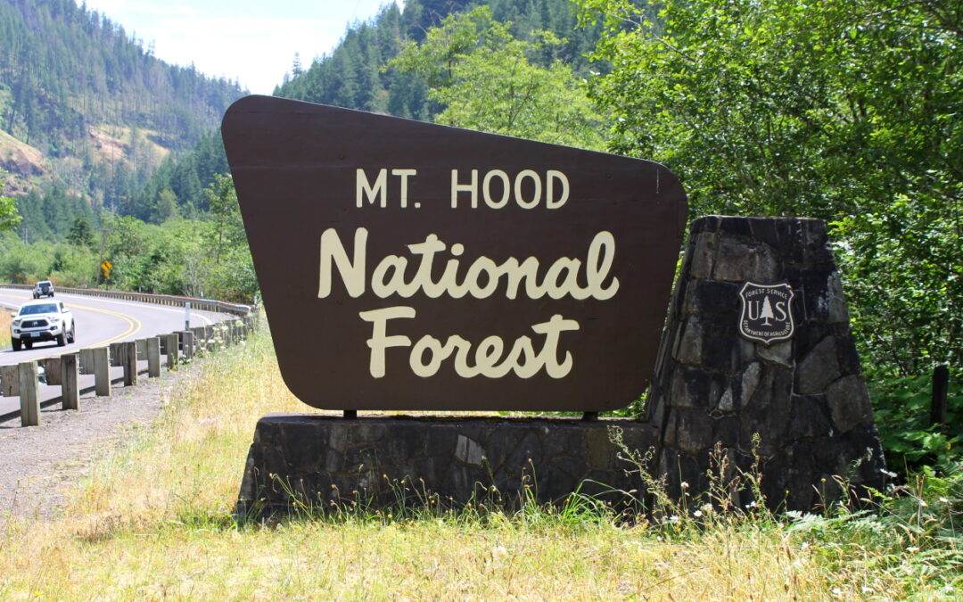 Mt Hood Estacada Area Closed To Target Shooting