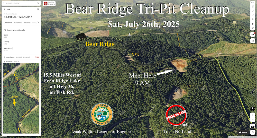 Bear Ridge Tri-Pit Cleanup