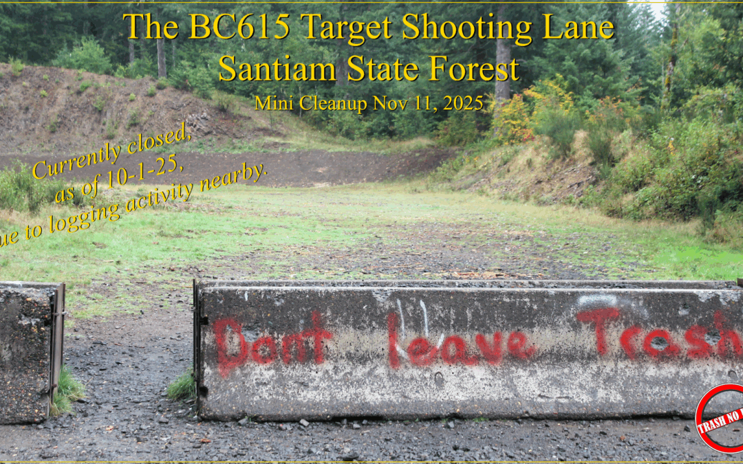 BC615 Pit Condition Report 10-11-25